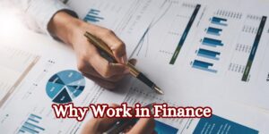 Why Work in Finance