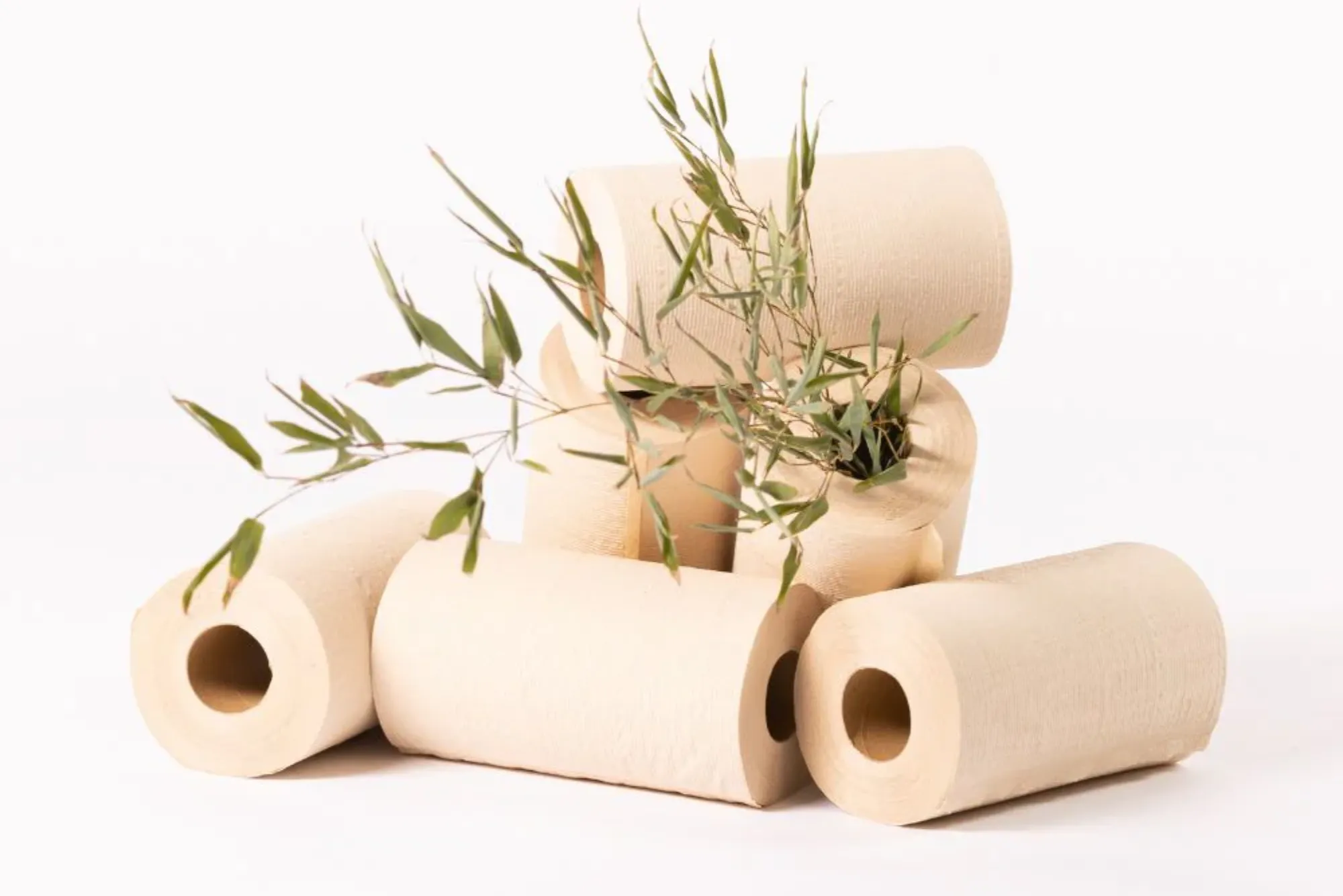 Bamboo Toilet Paper