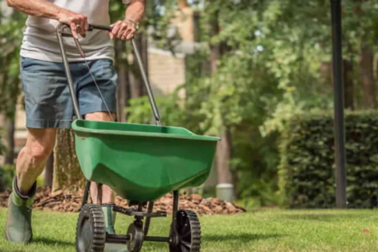 Lawn Services in Omaha, NE